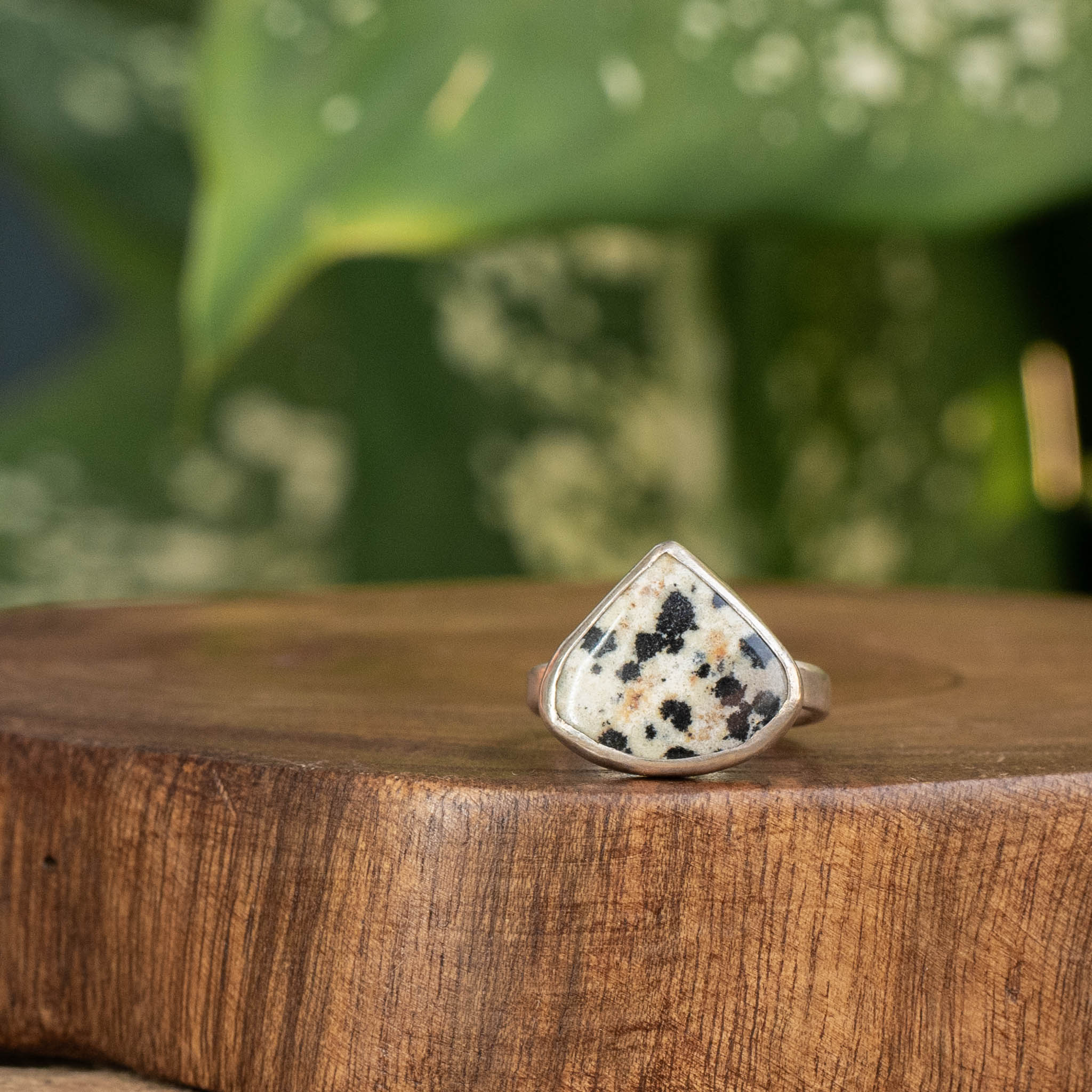 Dalmatian ring best sale